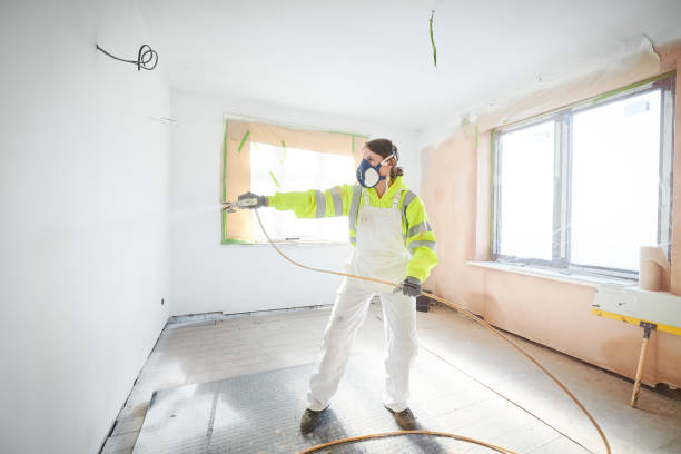 Best Mold Odor Removal Services  in Fairview, NY