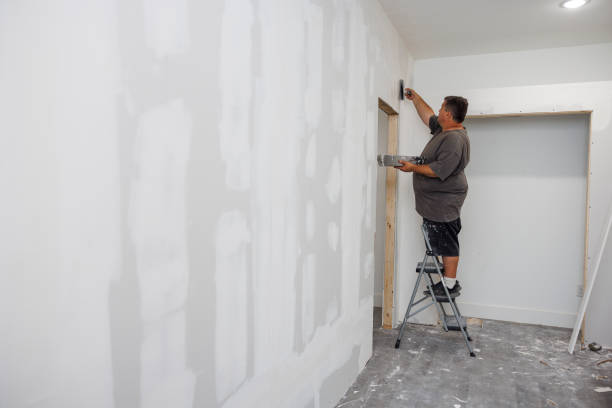 Biohazard Mold Removal in Fairview, NY
