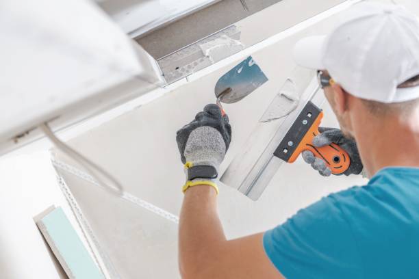 Best Crawl Space Mold Remediation  in Fairview, NY